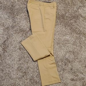 Express dress pants